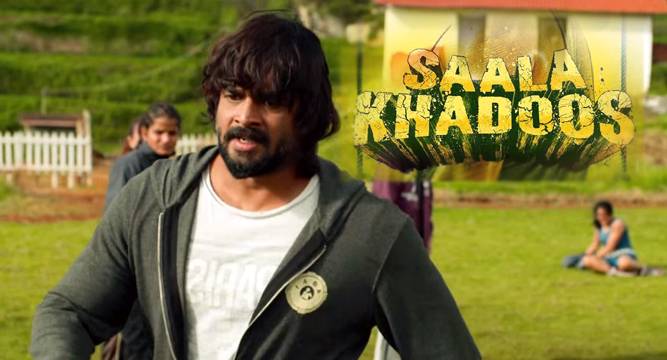 Saala Khadoos Movie Review: Ritika tries knockout in R Madhavan's film