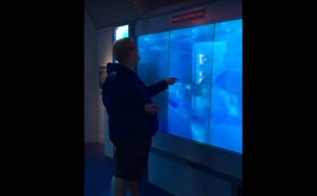 Watch: â€˜Sharkâ€™ charges at man, cracks aquarium glass