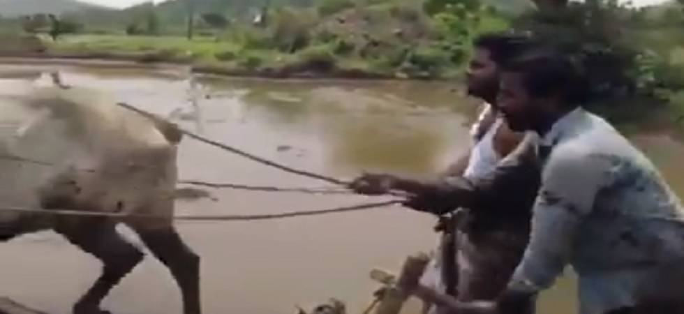 Watch: Telangana farmers take the â€˜Kiki Challengeâ€™ with no car