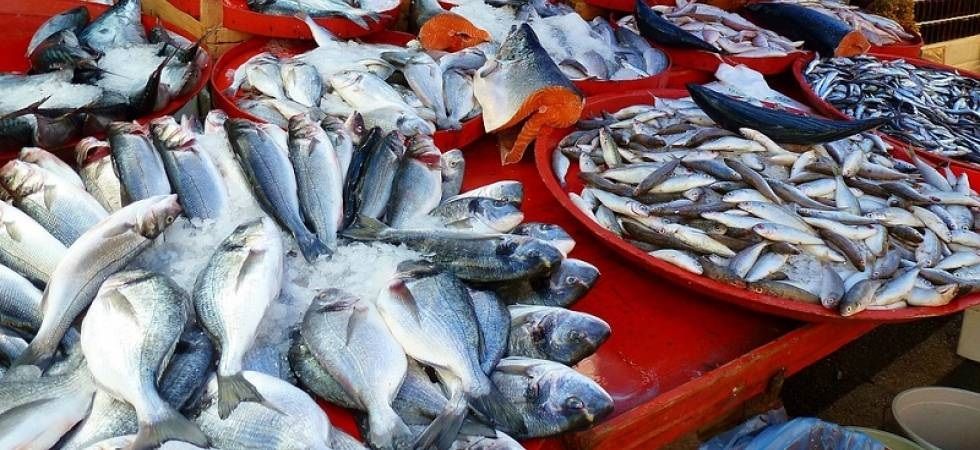 Goa Congress seeks ban on fish imports over presence of formalin