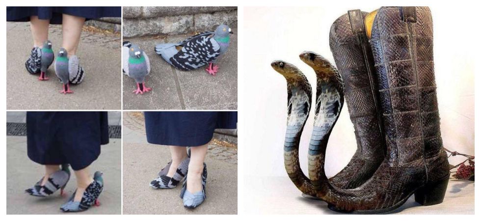 Fashion nightmares: From standing cobra 