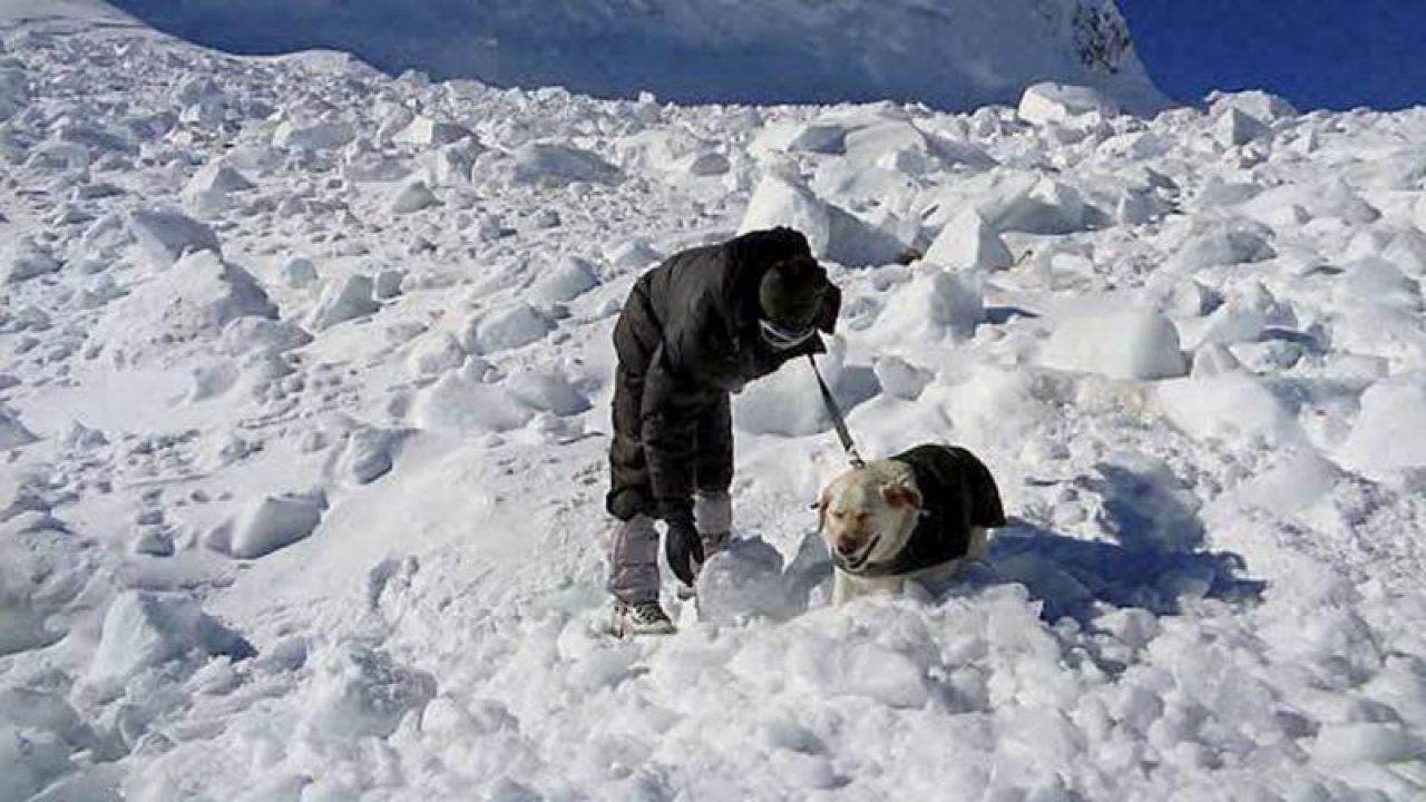 Four Indian Army Soldiers Among Six People Killed In Avalanche In Siachen Glacier News Nation