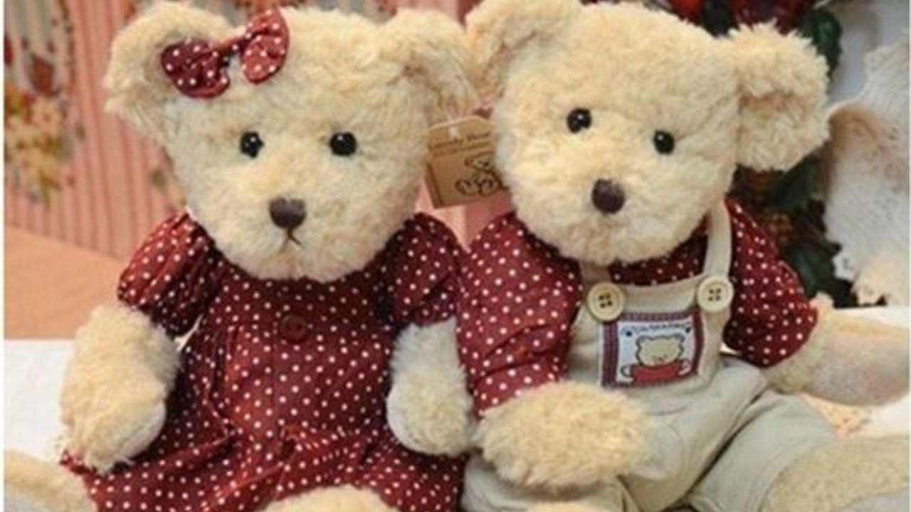 Teddy Day: Why Those Mushy Bears Are Called Teddy