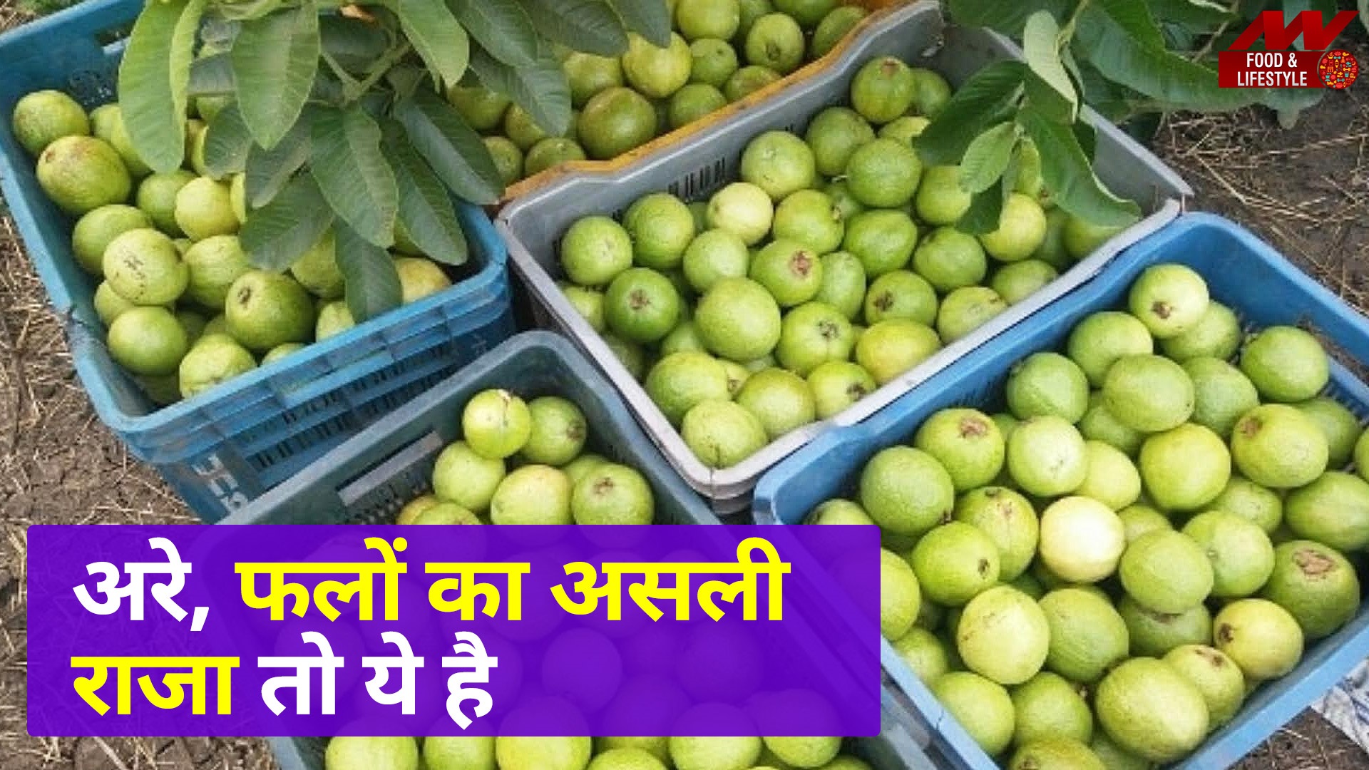 Reasons why you must stock up the leaves of this winter fruit | The Times  of India